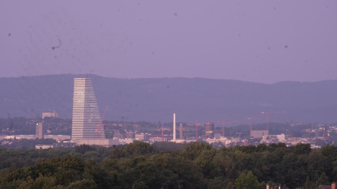 Apartment Mit Fernsicht, Nahe Schweizer Grenze Weil am Rhein Exterior foto